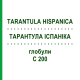 ТАРАНТУЛА ІСПАНІКА (TARANTULA HISPANICA) C 200 глобули 1,5 г - Гомеопатія GUDJONS