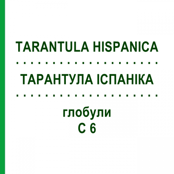 ТАРАНТУЛА ІСПАНІКА (TARANTULA HISPANICA) C 6 глобули 1,5 г - Гомеопатія GUDJONS