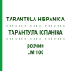 ТАРАНТУЛА ИСПАНИКА (TARANTULA HISPANICA) LM 100 раствор 10 мл - Гомеопатия ARCANA DR.SEWERIN