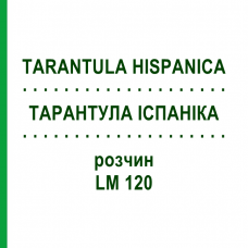 ТАРАНТУЛА ИСПАНИКА (TARANTULA HISPANICA) LM 120 раствор 10 мл - Гомеопатия ARCANA DR.SEWERIN