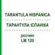 ТАРАНТУЛА ИСПАНИКА (TARANTULA HISPANICA) LM 120 раствор 10 мл - Гомеопатия ARCANA DR.SEWERIN