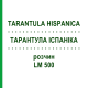 ТАРАНТУЛА ИСПАНИКА (TARANTULA HISPANICA) LM 500 раствор 10 мл - Гомеопатия ARCANA DR.SEWERIN
