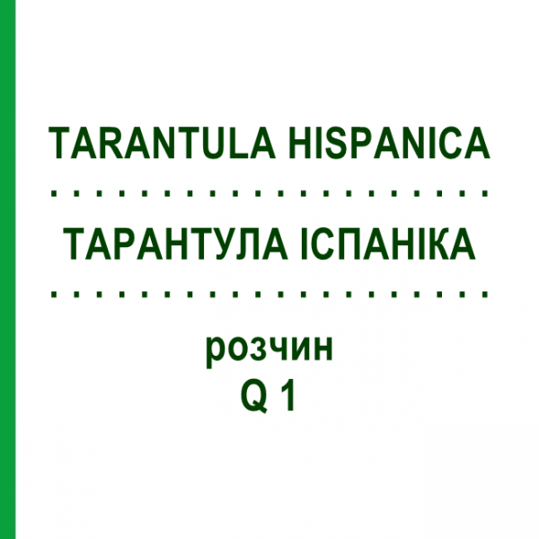 ТАРАНТУЛА ІСПАНІКА (TARANTULA HISPANICA) Q 1 розчин 15 мл - Гомеопатія GUDJONS