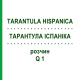 ТАРАНТУЛА ІСПАНІКА (TARANTULA HISPANICA) Q 1 розчин 15 мл - Гомеопатія GUDJONS