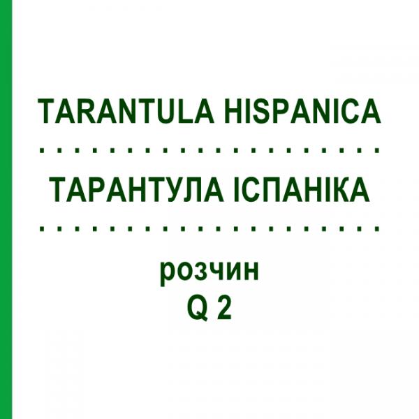 ТАРАНТУЛА ІСПАНІКА (TARANTULA HISPANICA) Q 2 розчин 15 мл - Гомеопатія GUDJONS