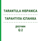 ТАРАНТУЛА ІСПАНІКА (TARANTULA HISPANICA) Q 2 розчин 15 мл - Гомеопатія GUDJONS