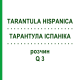 ТАРАНТУЛА ІСПАНІКА (TARANTULA HISPANICA) Q 3 розчин 15 мл - Гомеопатія GUDJONS