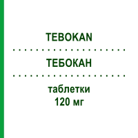ТЕБОКАН (TEBOKAN) 120 мг таблетки 200 шт - Экстракт листьев гинкго билоба BB FARMA