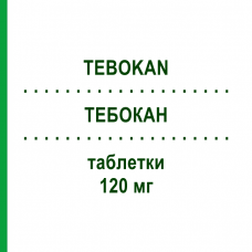 ТЕБОКАН (TEBOKAN) 120 мг таблетки 200 шт - Экстракт листьев гинкго билоба BB FARMA