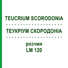 ТЕУКРИУМ СКОРОДОНИА (TEUCRIUM SCORODONIA) LM 120 раствор 10 мл - Гомеопатия ARCANA DR.SEWERIN