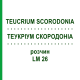 ТЕУКРИУМ СКОРОДОНИА (TEUCRIUM SCORODONIA) LM 26 раствор 10 мл - Гомеопатия ARCANA DR.SEWERIN