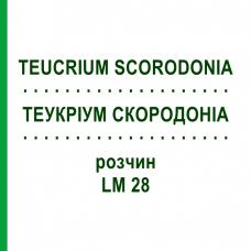 ТЕУКРИУМ СКОРОДОНИА (TEUCRIUM SCORODONIA) LM 28 раствор 10 мл - Гомеопатия ARCANA DR.SEWERIN