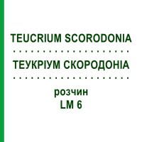ТЕУКРІУМ СКОРОДОНІА (TEUCRIUM SCORODONIA) LM 6 розчин 10 мл - Гомеопатія ARCANA DR.SEWERIN