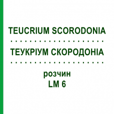 ТЕУКРИУМ СКОРОДОНИА (TEUCRIUM SCORODONIA) LM 6 раствор 10 мл - Гомеопатия ARCANA DR.SEWERIN
