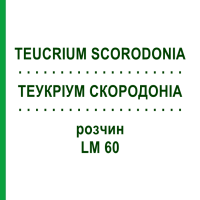 ТЕУКРИУМ СКОРОДОНИА (TEUCRIUM SCORODONIA) LM 60 раствор 10 мл - Гомеопатия ARCANA DR.SEWERIN