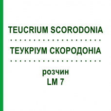 ТЕУКРИУМ СКОРОДОНИА (TEUCRIUM SCORODONIA) LM 7 раствор 10 мл - Гомеопатия ARCANA DR.SEWERIN
