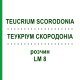 ТЕУКРИУМ СКОРОДОНИА (TEUCRIUM SCORODONIA) LM 8 раствор 10 мл - Гомеопатия ARCANA DR.SEWERIN
