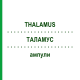 ТАЛАМУС (THALAMUS) ампулы 100 шт - Гомеопатия BIOLOGISCHE HEILMITTEL HEEL