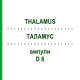 ТАЛАМУС (THALAMUS) D 6 ампулы 10x1 мл - Гомеопатия WALA HEILMITTEL
