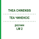 ТЕА ЧИНЕНСИС (THEA CHINENSIS) LM 2 раствор 10 мл - Гомеопатия ARCANA DR.SEWERIN
