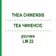 ТЕА ЧИНЕНСИС (THEA CHINENSIS) LM 22 раствор 10 мл - Гомеопатия ARCANA DR.SEWERIN