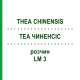 ТЕА ЧИНЕНСИС (THEA CHINENSIS) LM 3 раствор 10 мл - Гомеопатия ARCANA DR.SEWERIN
