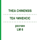 ТЕА ЧИНЕНСИС (THEA CHINENSIS) LM 6 раствор 10 мл - Гомеопатия ARCANA DR.SEWERIN