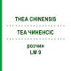 ТЕА ЧИНЕНСИС (THEA CHINENSIS) LM 9 раствор 10 мл - Гомеопатия ARCANA DR.SEWERIN