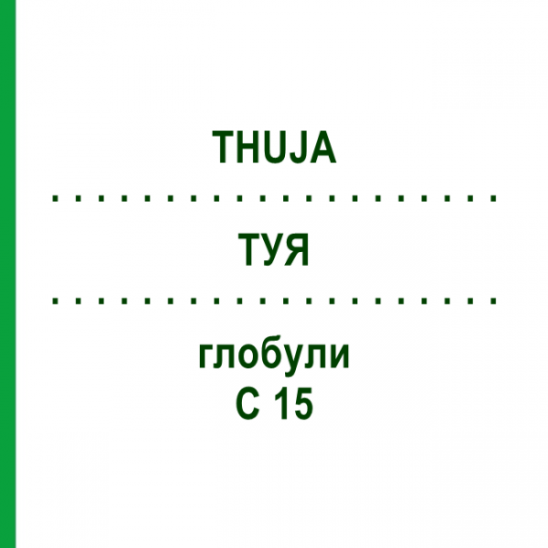 ТУЯ (THUJA) C 15 глобули 10 г - Гомеопатия DHU
