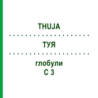 ТУЯ (THUJA) C 3 глобули 10 г - Гомеопатія DHU