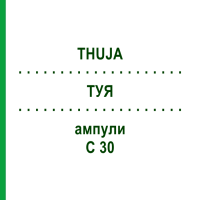 ТУЯ (THUJA) C 30 ампули 8x1 мл - Гомеопатія DHU