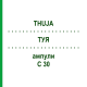 ТУЯ (THUJA) C 30 ампулы 8x1 мл - Гомеопатия DHU