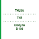 ТУЯ (THUJA) D 100 глобули 10 г - Гомеопатия DHU