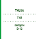 ТУЯ (THUJA) D 12 ампулы 10x1 мл - Гомеопатия WALA HEILMITTEL