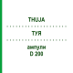 ТУЯ (THUJA) D 200 ампулы 8x1 мл - Гомеопатия DHU
