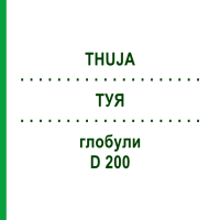 ТУЯ (THUJA) D 200 глобули 10 г - Гомеопатія DR.RECKEWEG