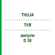 ТУЯ (THUJA) D 30 ампулы 10x1 мл - Гомеопатия WALA HEILMITTEL