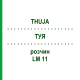 ТУЯ (THUJA) LM 11 раствор 10 мл - Гомеопатия ARCANA DR.SEWERIN