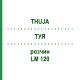 ТУЯ (THUJA) LM 120 раствор 10 мл - Гомеопатия ARCANA DR.SEWERIN