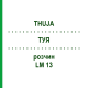 ТУЯ (THUJA) LM 13 раствор 10 мл - Гомеопатия ARCANA DR.SEWERIN