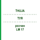 ТУЯ (THUJA) LM 17 раствор 10 мл - Гомеопатия ARCANA DR.SEWERIN
