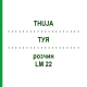 ТУЯ (THUJA) LM 22 раствор 10 мл - Гомеопатия ARCANA DR.SEWERIN