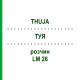 ТУЯ (THUJA) LM 26 раствор 10 мл - Гомеопатия ARCANA DR.SEWERIN