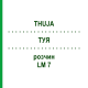 ТУЯ (THUJA) LM 7 раствор 10 мл - Гомеопатия ARCANA DR.SEWERIN