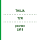 ТУЯ (THUJA) LM 8 раствор 10 мл - Гомеопатия ARCANA DR.SEWERIN