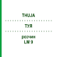 ТУЯ (THUJA) LM 9 раствор 10 мл - Гомеопатия ARCANA DR.SEWERIN