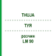 ТУЯ (THUJA) LM 90 раствор 10 мл - Гомеопатия ARCANA DR.SEWERIN
