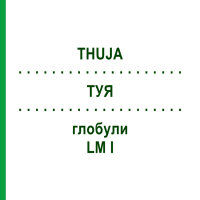 ТУЯ (THUJA) LM I глобули 5 г - Гомеопатія DHU