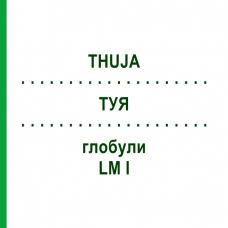 ТУЯ (THUJA) LM I глобули 5 г - Гомеопатия DHU