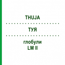 ТУЯ (THUJA) LM II глобули 5 г - Гомеопатия DHU